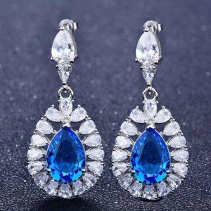 Elegant Earrings For Women Lady